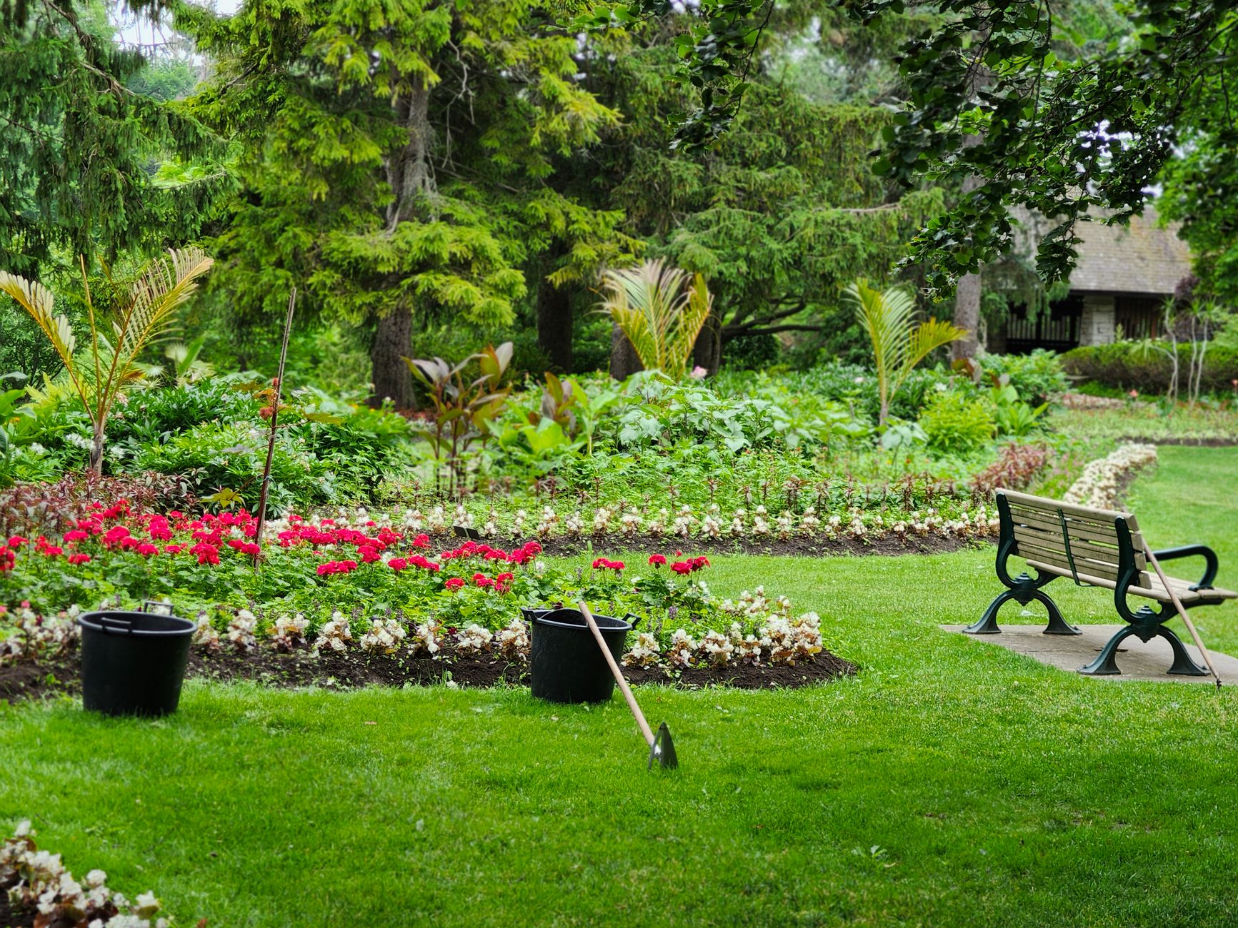 serene public park landscape with garden bench